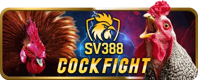Hỗ trợ điện thoại 8okluck