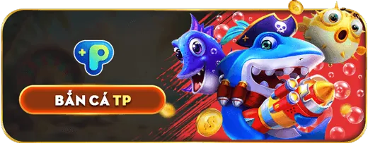 Cá cược bóng rổ 8okluck